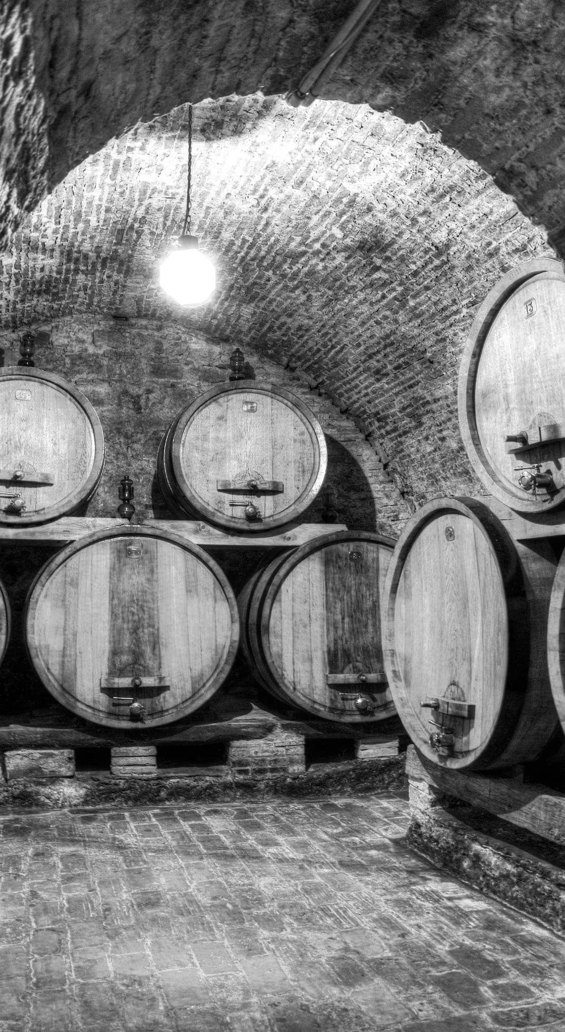 veneziani3101b (1) (1)